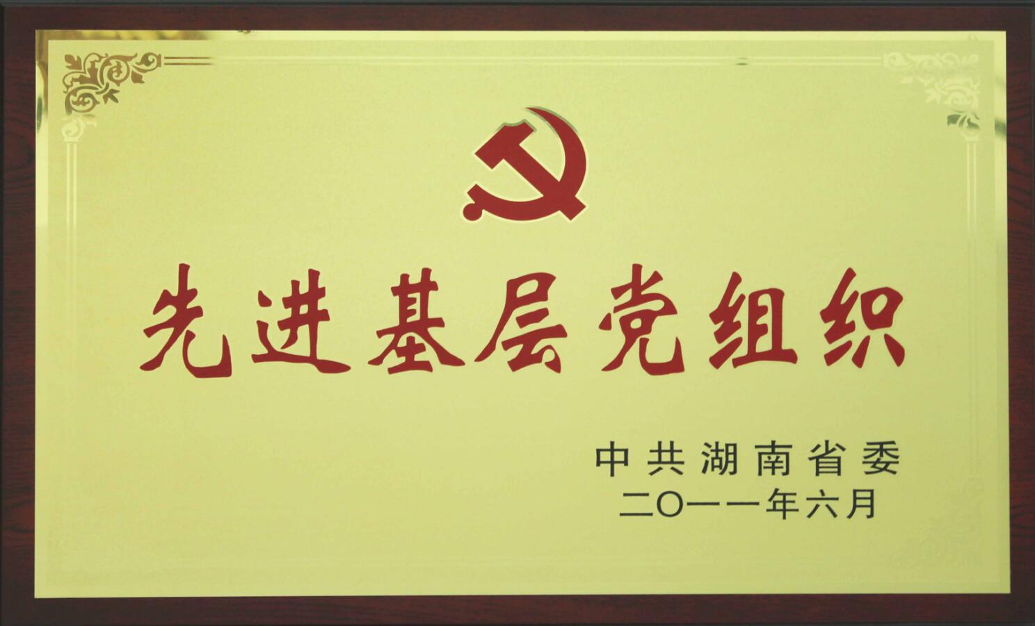 1584520197231725.jpg